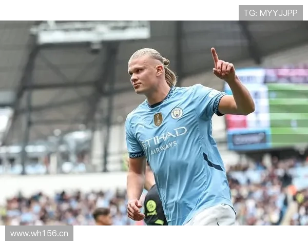 哈兰德团队荣誉与个人影响力差距解析