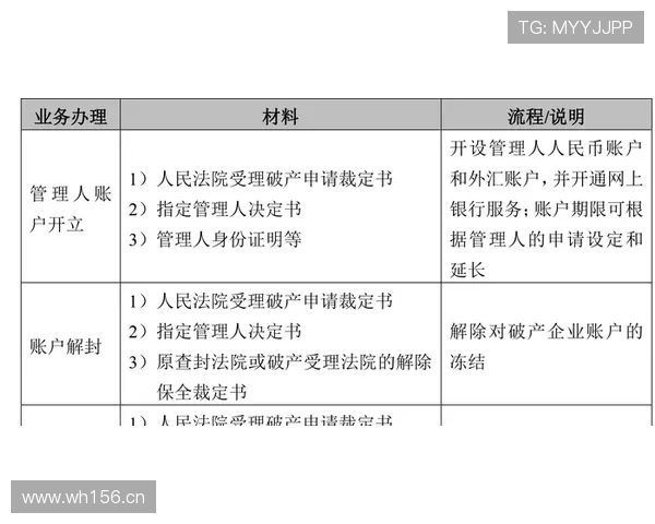 赖斯的战术角色定位与成长上限解析